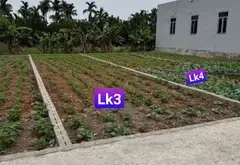 🔥🔥86m ĐẤT -TRƯA ĐẾN 2 TỶ- TẠI ĐÔNG NINH -CHÂU NINH- KHOÁI CHÂU- HƯNG YÊN 🌹

👉👉DT 86m giá chưa... Bán đất tại Châu Ninh, Hưng Yên 02