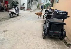 Đất phân lô mặt tiền rộng tại xã Lạc Đạo, Hưng Yên... Bán đất tại Lạc Đạo, Hưng Yên 05