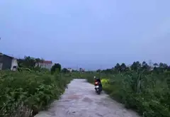Cơ hội sở hữu đất vị trí vàng sát chùa Phật Tích, giá tốt tại KCN Saigontel... Bán đất tại Phật Tích, Bắc Ninh 06