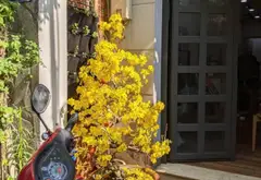 Nhà 4 tầng gần Q1, giá ưu đãi tại Gia Định... Bán nhà riêng tại Gia Định, Hồ Chí Minh 02