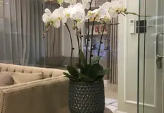 Căn hộ góc 3 mặt thoáng view bể bơi sang trọng tại Bắc Từ Liêm... Bán căn hộ chung cư tại Phú Diễn, Hà Nội 07
