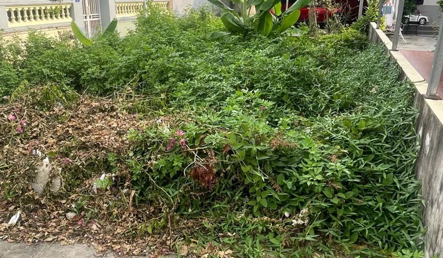 Lô đất hai mặt tiền tại khu vực phát triển tiềm năng... Bán đất tại Hưng Đạo, Hải Phòng 01