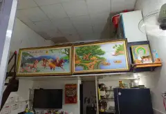 Dãy trọ 9 phòng - Gần sân bay, dòng tiền ổn định... Bán nhà riêng tại Tân Bình, Hồ Chí Minh 02