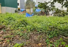 Cơ hội vàng sở hữu đất vị trí đắc địa tại Phương Nhị, Liên Ninh... Bán đất tại Ngọc Hồi, Hà Nội 06