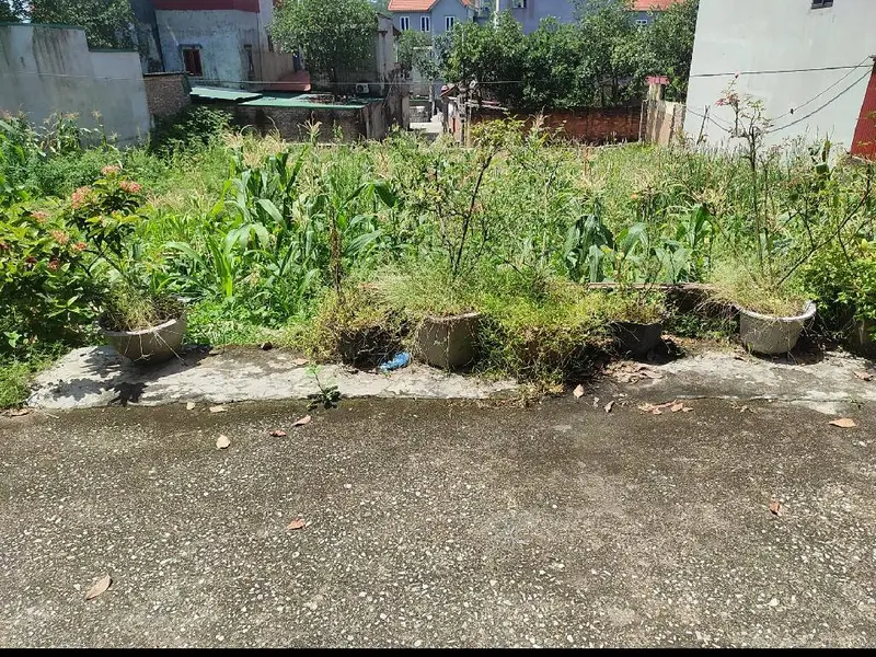 Cơ hội sở hữu đất nền vị trí đẹp Ngô Xá giá tốt, diện tích rộng 73m²... Bán đất tại Chi Lăng, Bắc Ninh 01