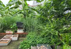 Cơ hội hiếm có sở hữu đất vị trí đắc địa sát mặt phố Đại Thượng... Bán đất tại Đại Đồng, Bắc Ninh 07