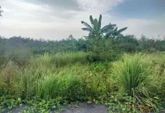 Lô Đất Tinh Tế Tại Phường Dương Kinh - Đón Đầu Phong Cách Sống Đẳng Cấp... Bán đất tại Dương Kinh, Hải Phòng 06