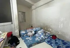Bán nhà riêng Quận 8 diện tích 27.6m2, 3 phòng ngủ, hẻm xe hơi thông, giá 6.15 tỷ... Bán nhà riêng tại Chánh Hưng, Hồ Chí Minh 03