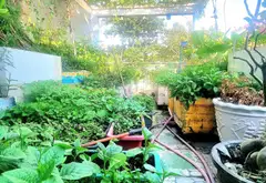 Bán nhà phố 3 tầng mặt tiền 4m tại khu tái định cư Sóng Thần, Dĩ An... Bán nhà mặt phố tại Dĩ An, Hồ Chí Minh 06