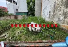 Cơ hội sở hữu đất thổ cư Quang Minh, vị trí đẹp, giá tốt... Bán đất tại Quang Minh, Hà Nội 01