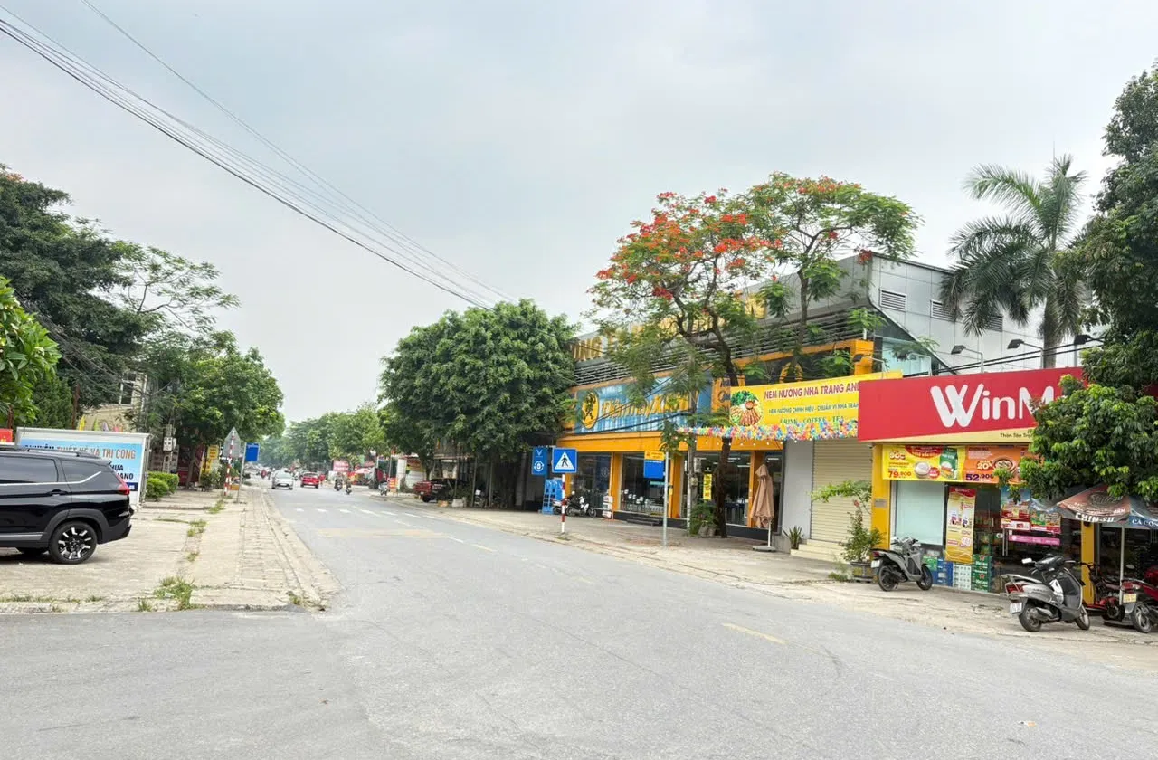 🌺ĐÓN ĐẦU DỰ ÁN KCN 300HA ĐÔNG ANH - ĐƯỜNG THÔNG OTO VÀO ĐẤT - CÁCH ĐƯỜNG XUÂN NỘN 300M🌺... Bán đất tại Thư Lâm, Hà Nội 01