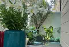 Biệt thự góc đẳng cấp Vinhomes Ocean Park 2 - Sống sang, vị trí vàng... Bán biệt thự, liền kề tại Nghĩa Trụ, Hưng Yên 03