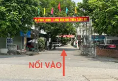 Lô góc 2 mặt tiền tằng mi nam hồng đông anh hà nội DT khủng 375m2... Bán đất tại Phúc Thịnh, Hà Nội 10