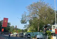 Nhà mặt phố 2MT Quận 11 giá sốc, gần Đầm Sen... Bán nhà mặt phố tại Bình Thới, Hồ Chí Minh 04
