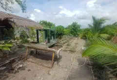 BÁN 2 CÔNG ĐẤT VƯỜN FULL THỔ ,TRƯƠNG VĂN ĐA ĐƯỜNG ĐÁ XANH XE HƠI TỚI ĐẤT... Bán đất tại Bình Lợi, Hồ Chí Minh 04