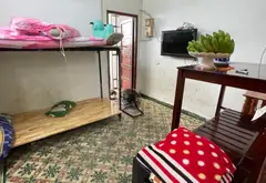 Bán nhà 2 tầng diện tích 33m2 tại phường Cao Thắng giá 5.5 tỷ... Bán nhà riêng tại Hòa Hưng, Hồ Chí Minh 14