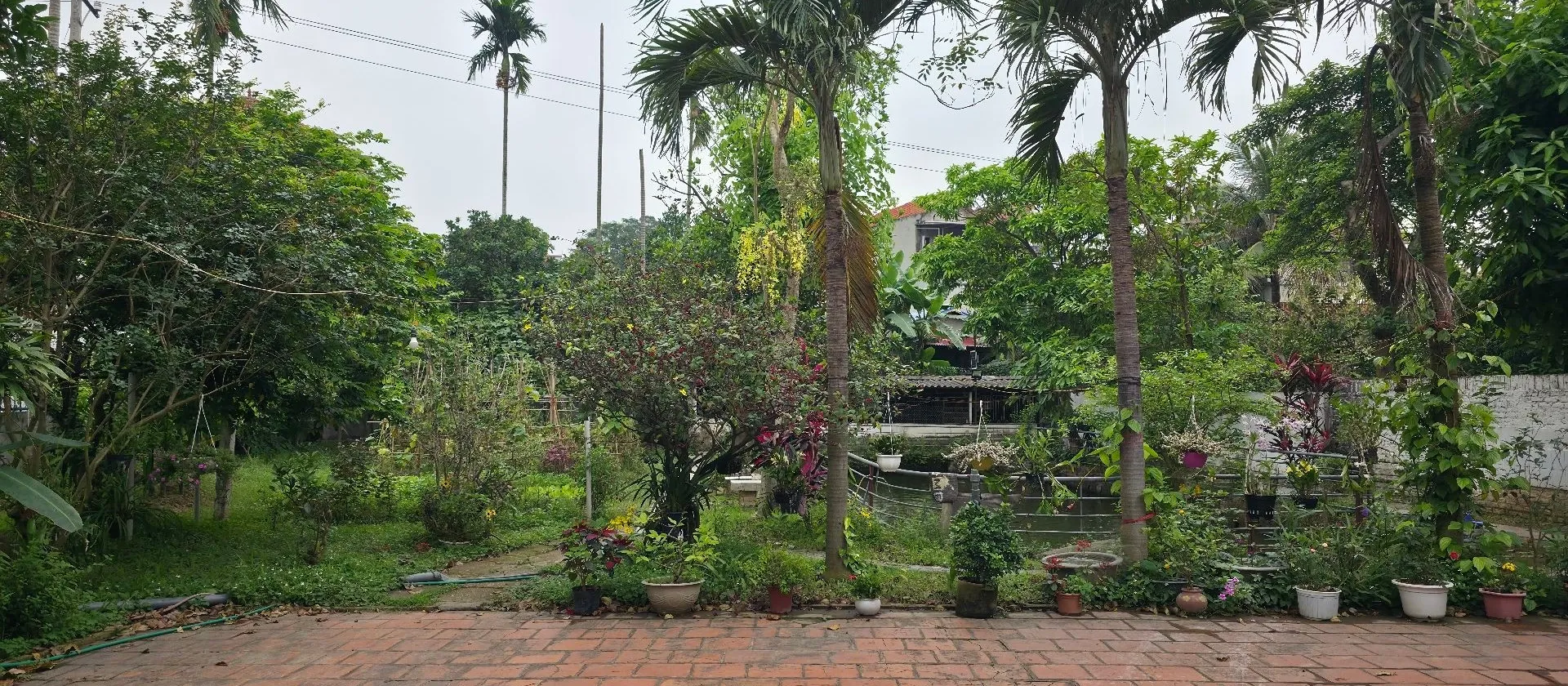 Cơ hội vàng sở hữu nhà riêng 2 tầng với 720m2 đất tại Tân Dân, Sóc Sơn... Bán nhà riêng tại Sóc Sơn, Hà Nội 01