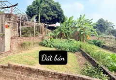 Cơ hội vàng sở hữu đất thổ cư vị trí đắc địa tại Thanh Trí giá hấp dẫn... Bán đất tại Kim Anh, Hà Nội 02