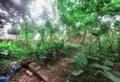 Đất Vuông Vắn Nở Hậu Giá Tốt Tại Phú Mỹ Biên Giang... Bán đất tại Chương Mỹ, Hà Nội 07