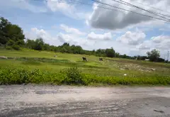 Bán đất 3900m2 xã Tân Hiệp, Hóc Môn, giá 25 tỷ, pháp lý cơ sở... Bán đất tại Hóc Môn, Hồ Chí Minh 03