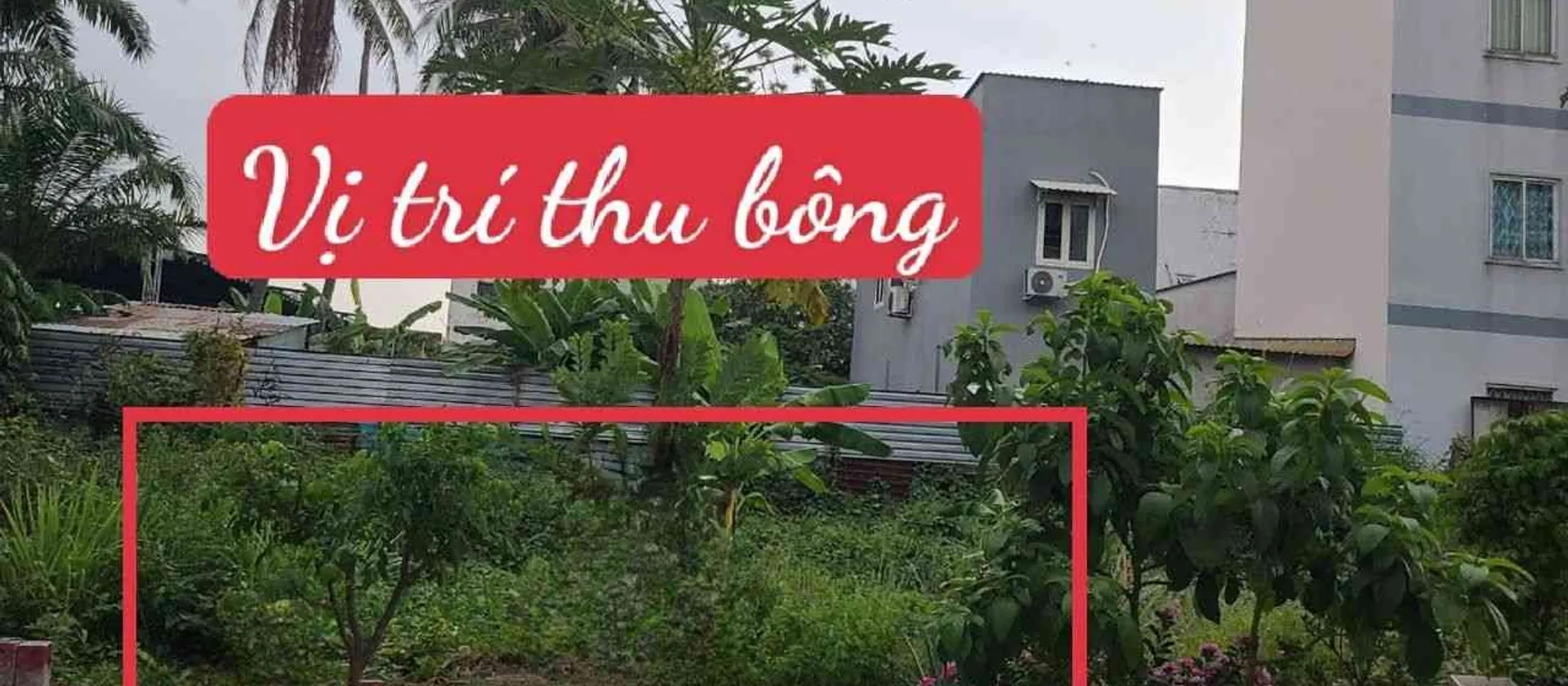 🌻CẦN BÁN GẤP
👉HẺM XE HƠI... Bán đất tại An Phú Đông, Hồ Chí Minh 01