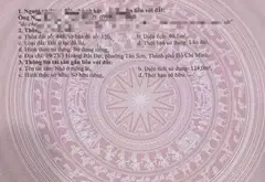 Nhà đẹp hẻm xe hơi, tiện nghi xịn, giảm giá cực sốc... Bán nhà riêng tại Tân Sơn, Hồ Chí Minh 19