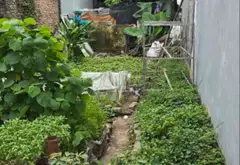 Bán đất vị trí giao thông thuận tiện gần bệnh viện lớn... Bán đất tại Sơn Đồng, Hà Nội 02
