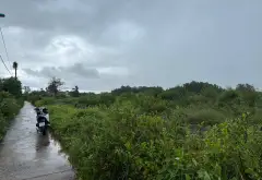 Đất rộng view sông Nguyễn Văn Tạo, tiềm năng đầu tư đỉnh cao... Bán đất tại Hiệp Phước, Hồ Chí Minh 06