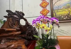 Nhà mới tinh thiết kế hiện đại, ô tô đỗ cửa... Bán nhà riêng tại Nam Phù, Hà Nội 08