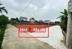 Bán lô góc 2 mặt tiền dự án Trường Đua Ngựa tại Đan Tảo, Sóc Sơn, 80m2 giá 2,2 tỷ... Bán owner_side tại Sóc Sơn, Hà Nội 03