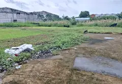 Nhà mặt phố rộng rãi, giá tốt tại Đinh Đức Thiện... Bán nhà mặt phố tại Hưng Long, Hồ Chí Minh 04