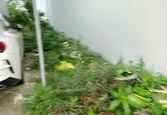 Cơ hội sở hữu lô đất vàng hướng Đông Nam giá trị hiếm có tại Đầm Sen... Bán đất tại Ngũ Hành Sơn, Đà Nẵng 01