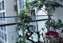 Căn hộ 2 phòng ngủ sang trọng tại Symphony Long Biên... Bán căn hộ chung cư tại Phúc Lợi, Hà Nội 09