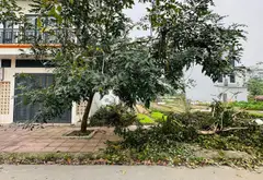 Bán đất phân lô khu đô thị Long Phương Trang Hạ, diện tích 110m², mặt tiền 5.5m... Bán đất tại Đồng Nguyên, Bắc Ninh 01