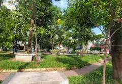 Nhà đất rộng ngay gần công viên Lò Phèn, cơ hội hiếm có... Bán nhà riêng tại Tân Phú, Hồ Chí Minh 14