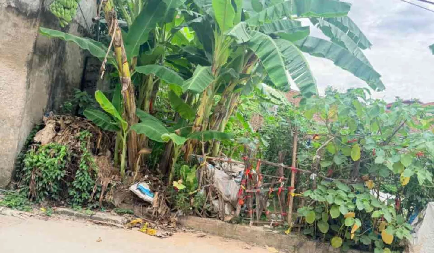 Ba Lăng Tiến Dũng Thường Tĩn HN... Bán đất tại Thường Tín, Hà Nội 01