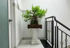 Nhà 4 tầng hẻm ô tô gần Cách Mạng Tháng 8, giá tốt... Bán nhà riêng tại Tân Sơn Nhất, Hồ Chí Minh 02