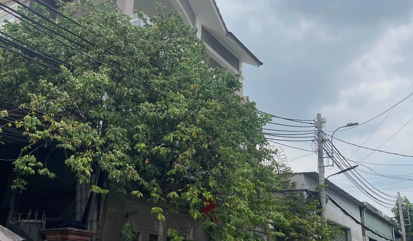 Bán đất mặt tiền rộng 10m tại Phường Bình Hưng Hòa, TP HCM, diện tích 179.1 m2... Bán đất tại Bình Hưng Hòa, Hồ Chí Minh 01