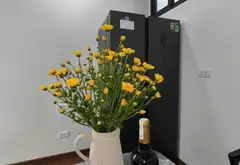 Căn hộ góc sang trọng ngay trung tâm Xa La, giá giảm sốc... Bán căn hộ chung cư tại Kiến Hưng, Hà Nội 06