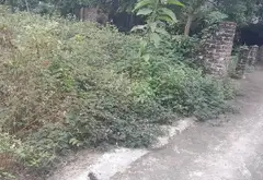 Đất hiếm gần Trường Đua Ngựa Sóc Sơn, giá hời đầu tư... Bán đất tại Sóc Sơn, Hà Nội 03