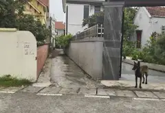 Cơ hội sở hữu lô đất hiếm giữa lòng Hải Phòng phát triển mạnh... Bán đất tại Lưu Kiếm, Hải Phòng 01