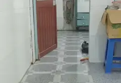 Bán nhà riêng tại Bông Sao, diện tích 49.6m2, pháp lý rõ ràng, giá 3.2 tỷ... Bán nhà riêng tại Bình Đông, Hồ Chí Minh 02