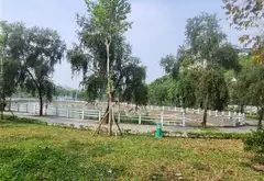 Đất Tái Định Cư, vỉa hè, oto tránh, view hồ, giá tốt... Bán nhà riêng tại Việt Hưng, Hà Nội 05