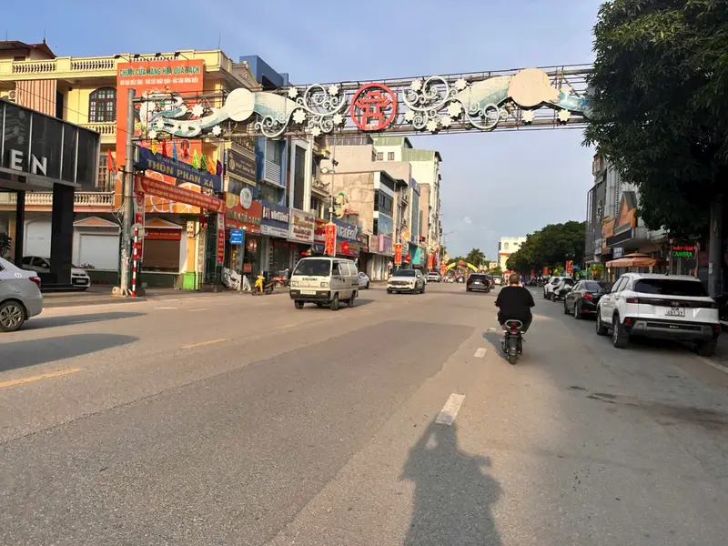 Đ.Ấ.T UY NỖ 100m RA MẶT PHỐ CAO LỖ - GẦN CÔNG VIÊN, BỆNH VIỆN NHI, BVĐK ĐÔNG ANH CHƯA ĐẾN 5p LÁI XE... Bán đất tại Đông Anh, Hà Nội 01