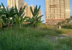 Cơ hội hiếm có: Đất lô góc 2 mặt tiền, vị trí đẹp phường Phú Mỹ, Quận 7, giá tốt... Bán đất tại Tân Mỹ, Hồ Chí Minh 02