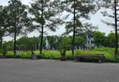 Đất nền góc 3 mặt thoáng tại Khu Đô Thị Nam Từ Sơn, tâm điểm đầu tư đẳng cấp... Bán đất tại Từ Sơn, Bắc Ninh 01