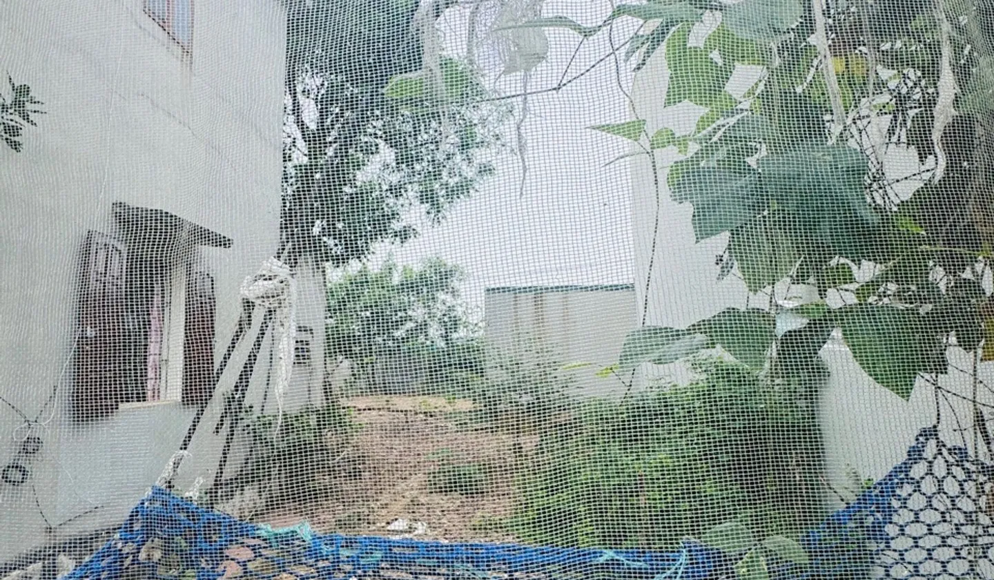 Đất siêu đẹp Cổ Loa giá cực tốt, gần Vinhomes... Bán đất tại Đông Anh, Hà Nội 01
