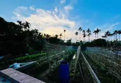 Đất đẹp An Trường, ngõ thông, giá hợp lý... Bán đất tại An Lão, Hải Phòng 04