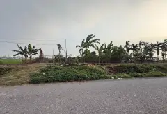 Cơ hội vàng sở hữu đất nông nghiệp trên trục đường Song Mai Đoài... Bán đất tại Sóc Sơn, Hà Nội 02