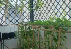 Cơ hội vàng sở hữu nhà mặt phố KDC Vĩnh Lộc, giá giảm sốc chỉ 10,2 tỷ... Bán nhà mặt phố tại Bình Tân, Hồ Chí Minh 15